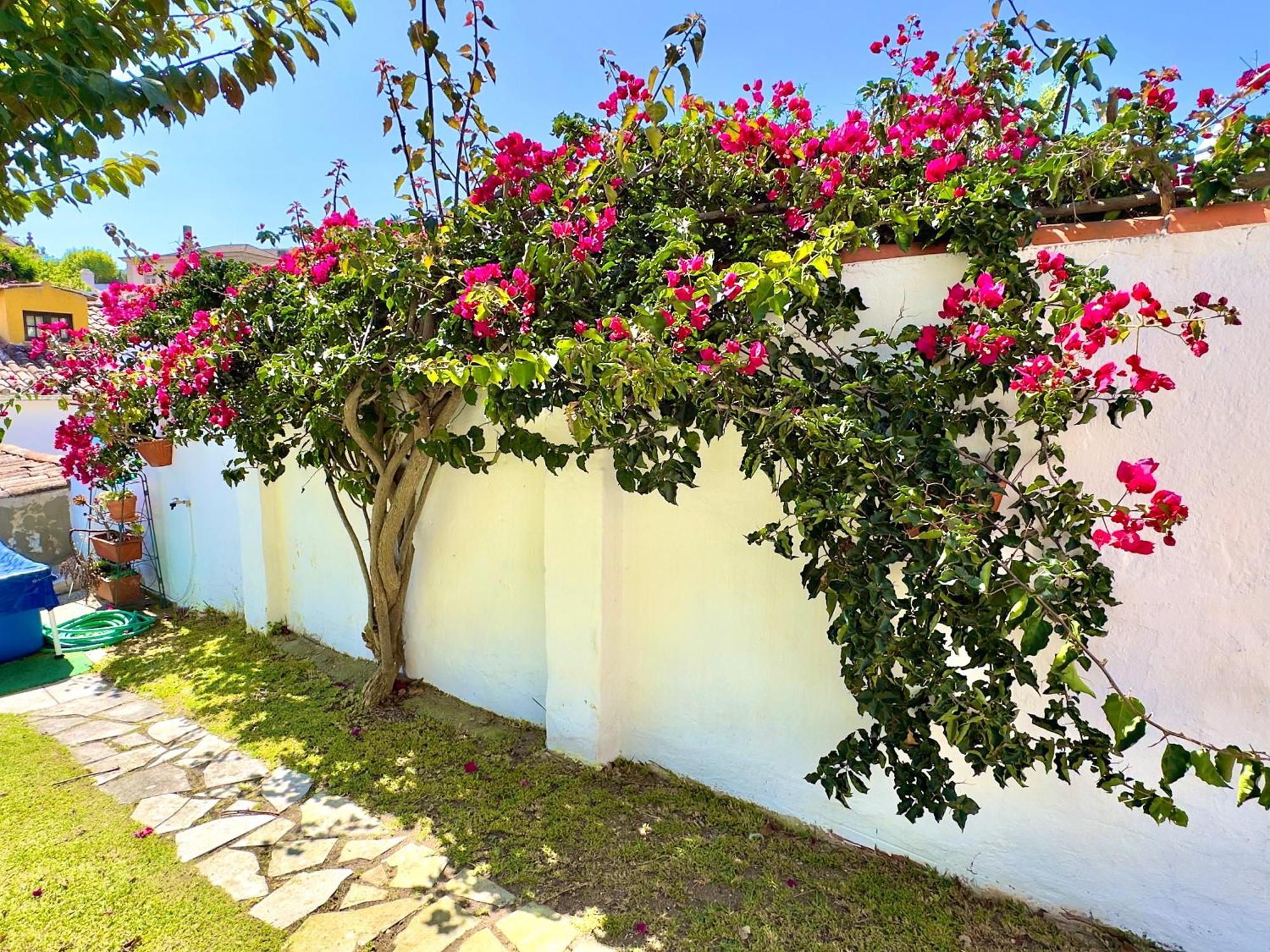 Casa Do Candeeiro 오비도스 외부 사진